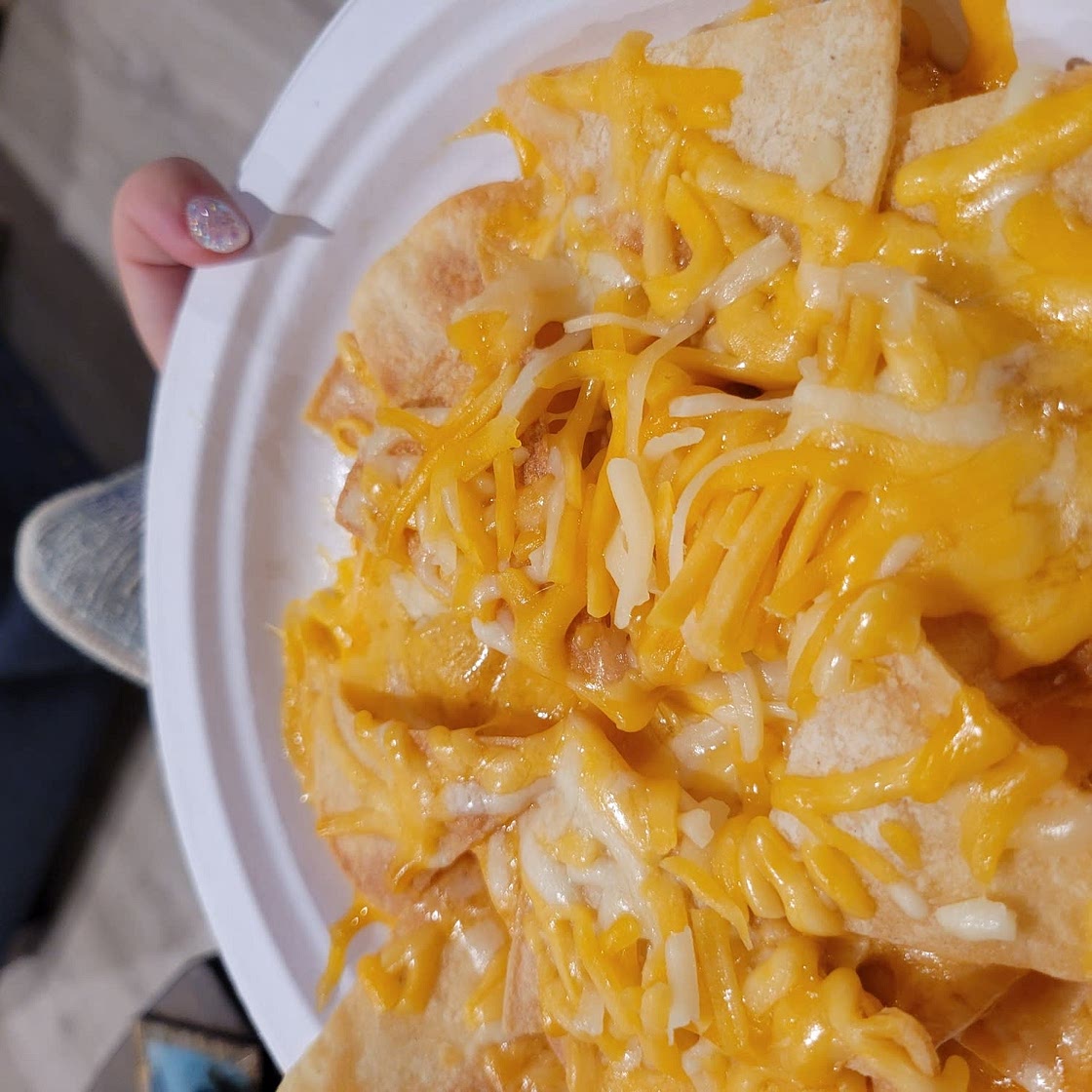 Homemade Tortilla Chips