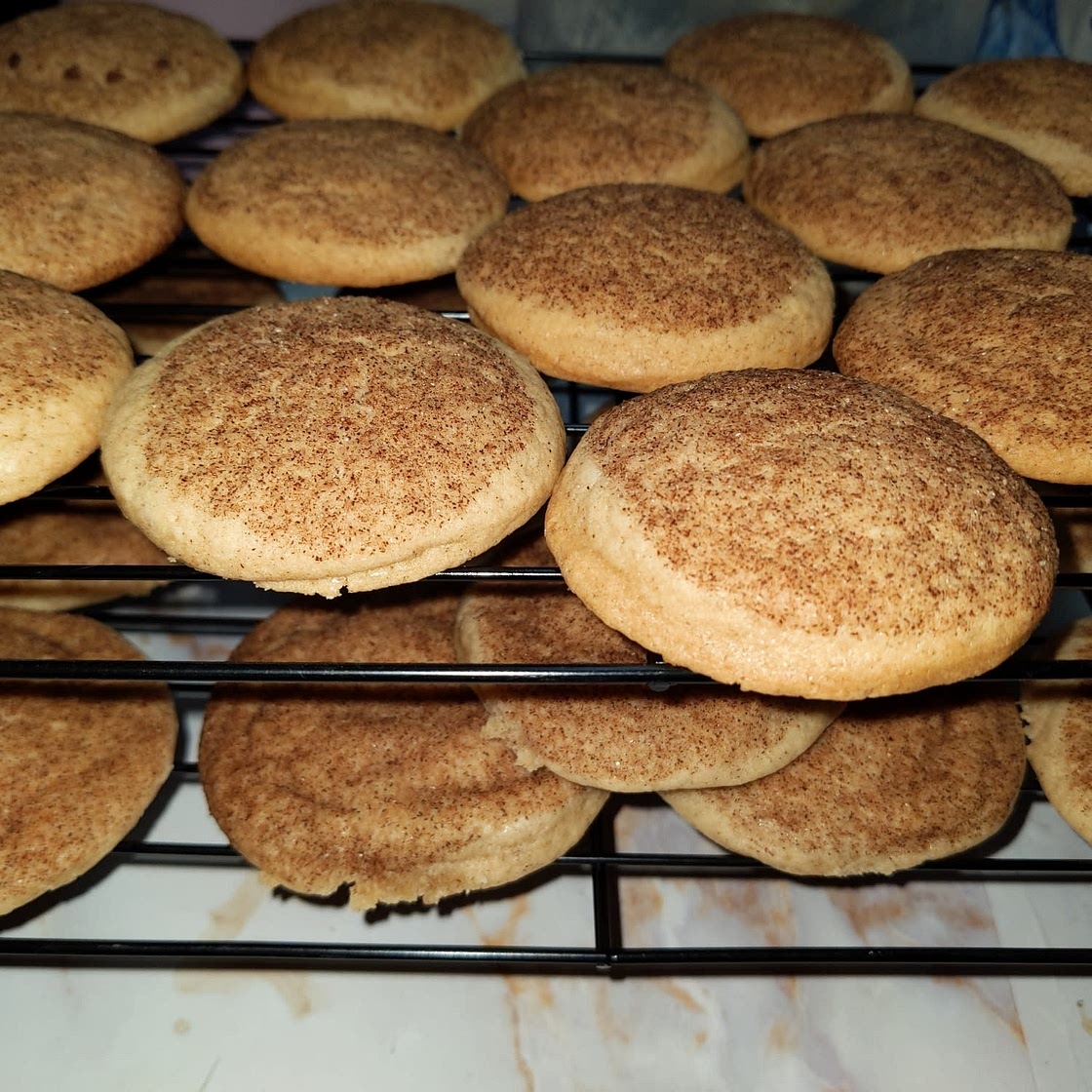 Snicker Doodles Cookout
