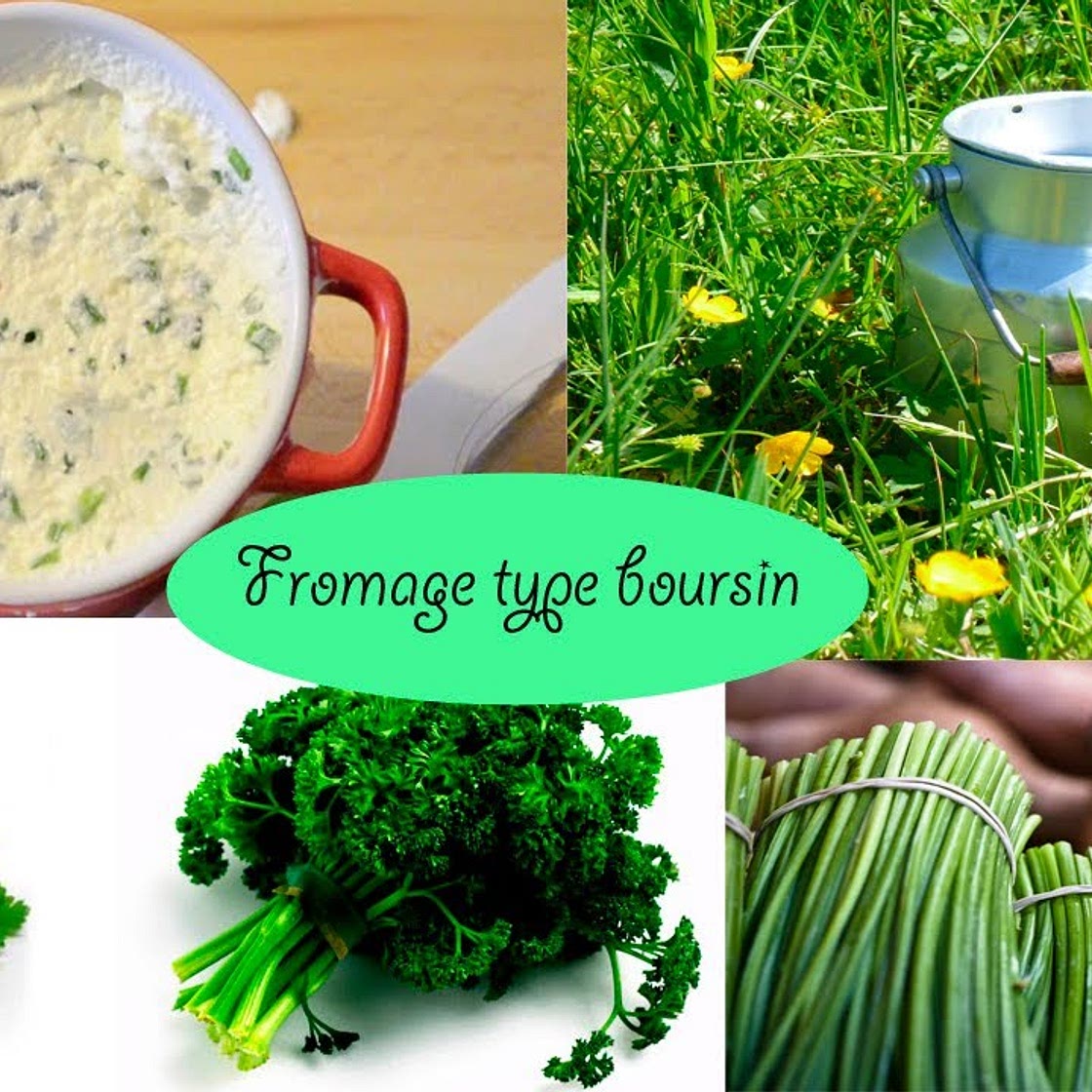 Recette fromage type boursin facile