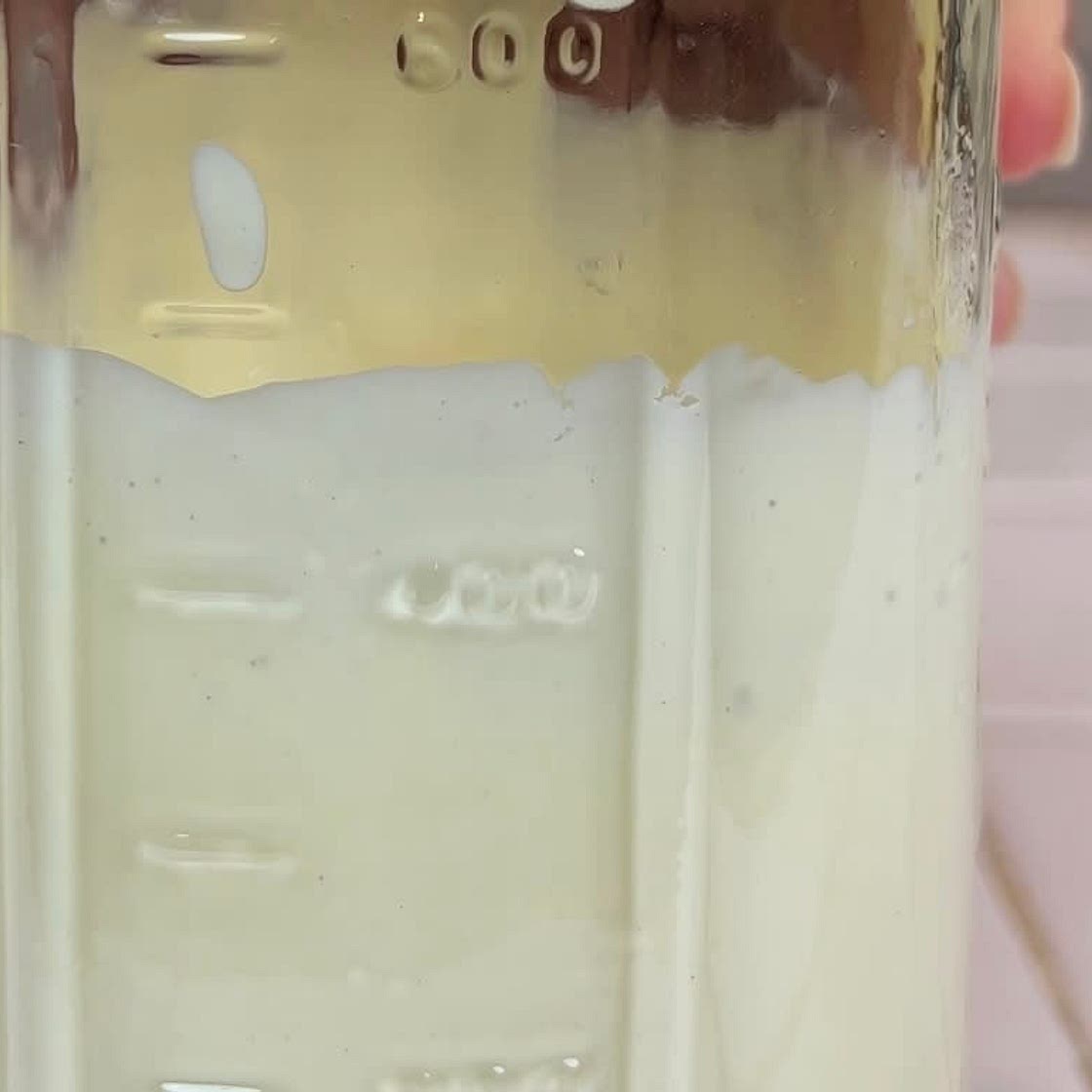 HOMEMADE MAYO