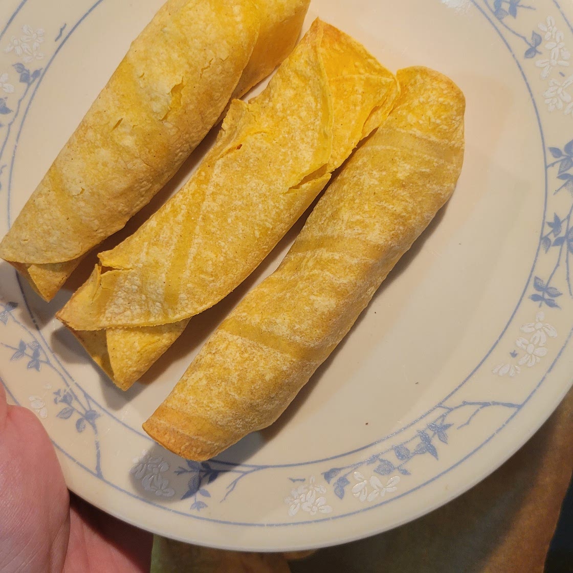 Taquitos & Tissues | Veg Out