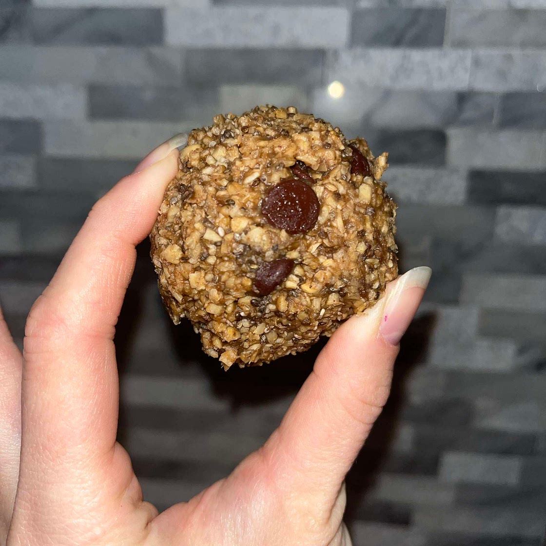 Oatmeal Breakfast Bites 