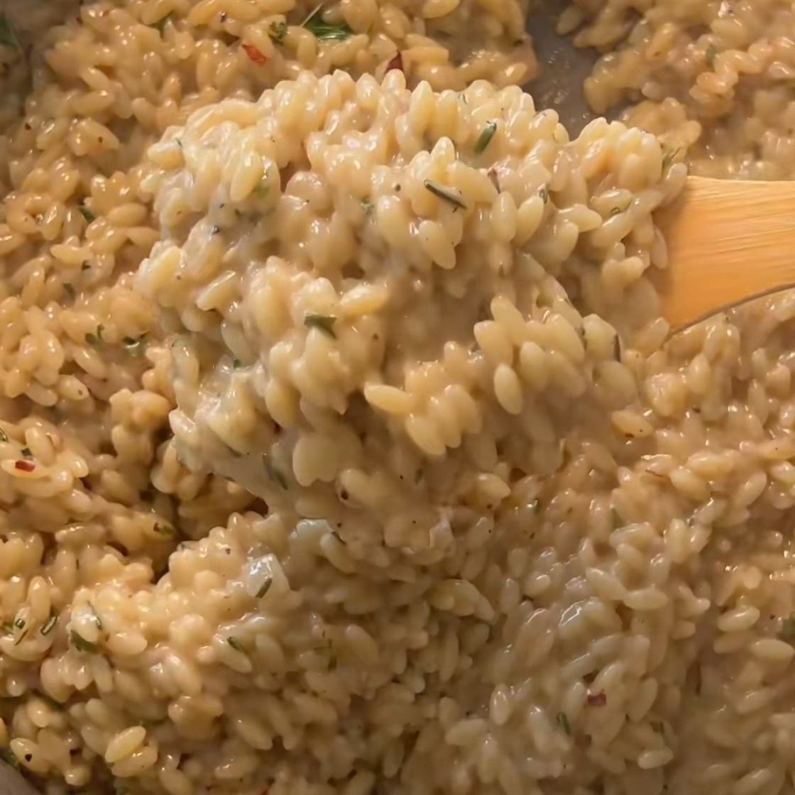 Creamy Orzo
