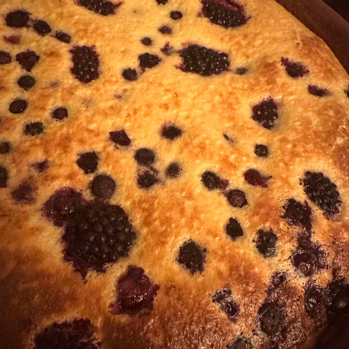 Blueberry and sour cream pie