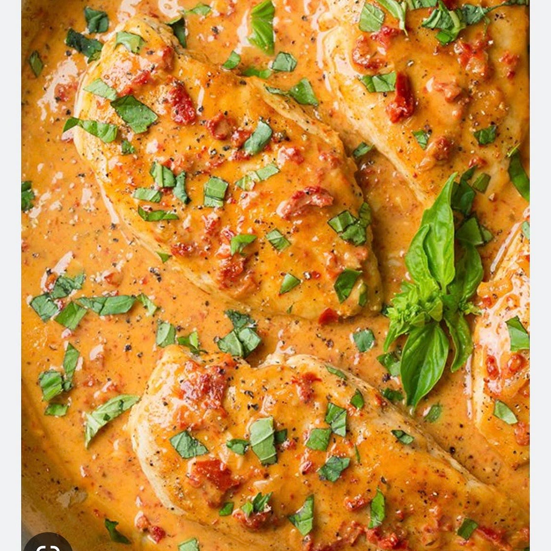 Chicken w/ Sun-dried Tomato Cream Sauce
