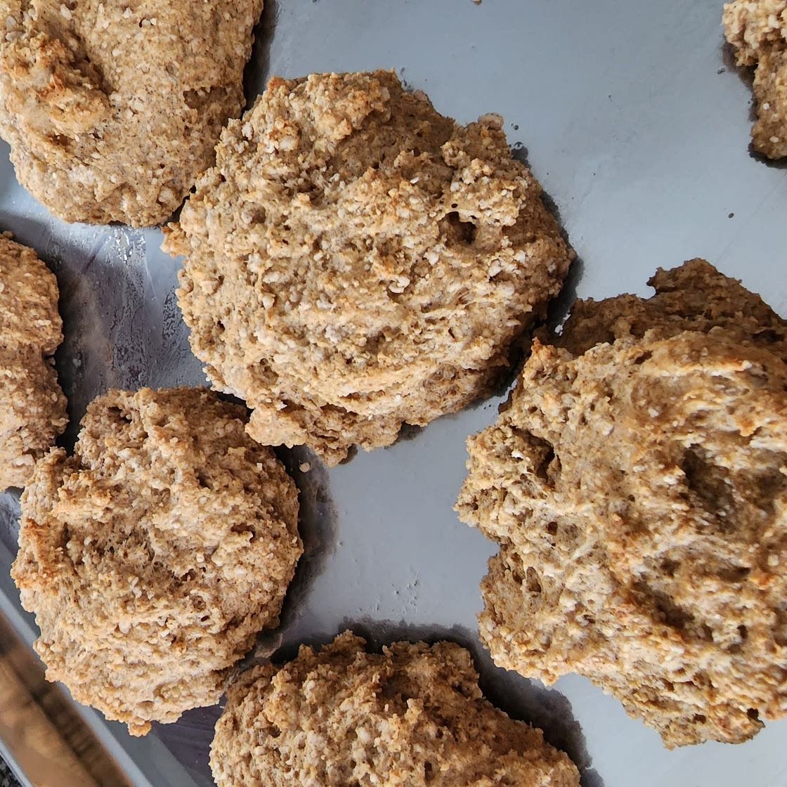 Yogurt biscuits