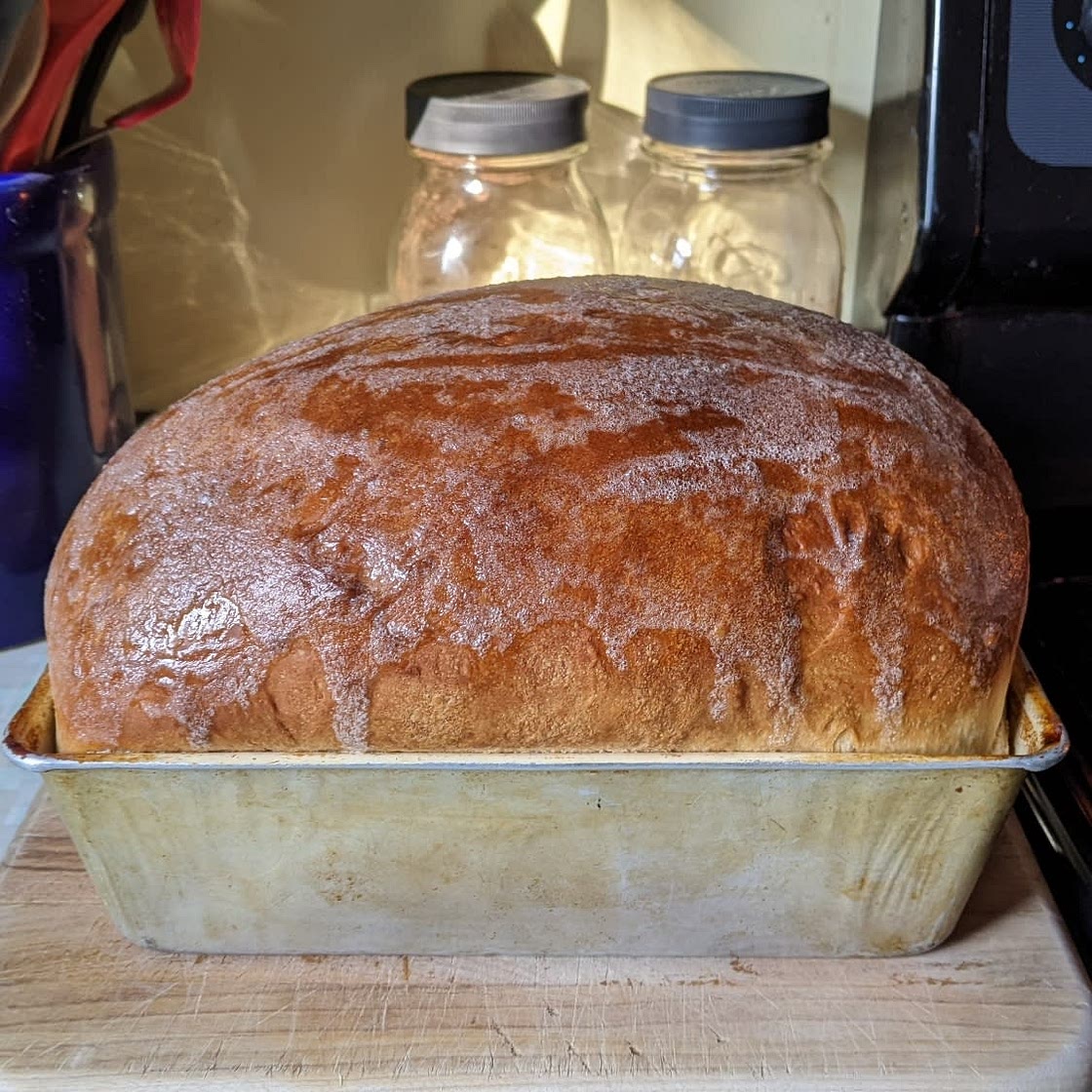 Soft Sourdough Sandwich Bread (No-Knead)