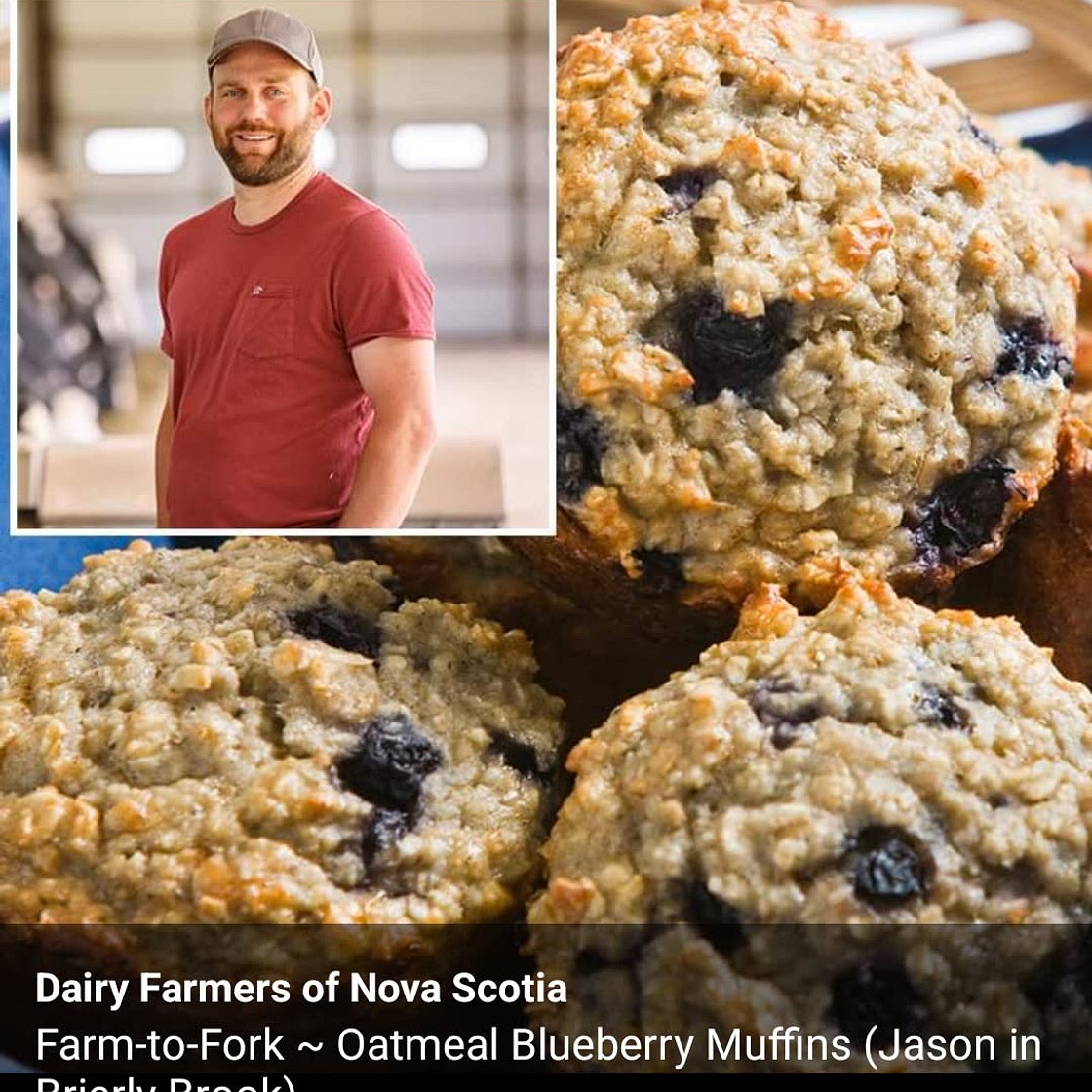Blueberry Oatmeal Muffins
