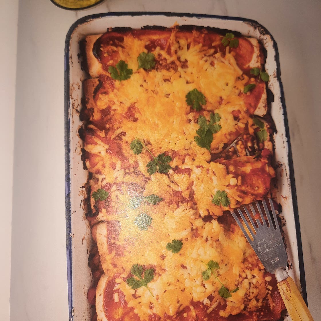 Enchiladas with guacamole