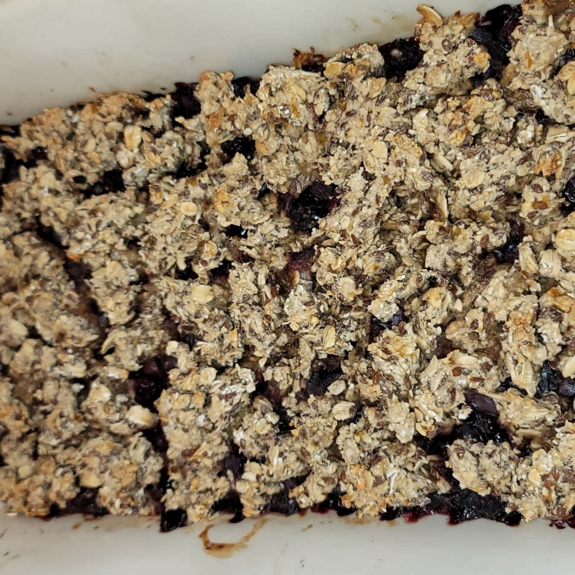 5 ingredient Blueberry Oat Breakfast Bars {vegan, sugar-free, oil-free, gluten-free}