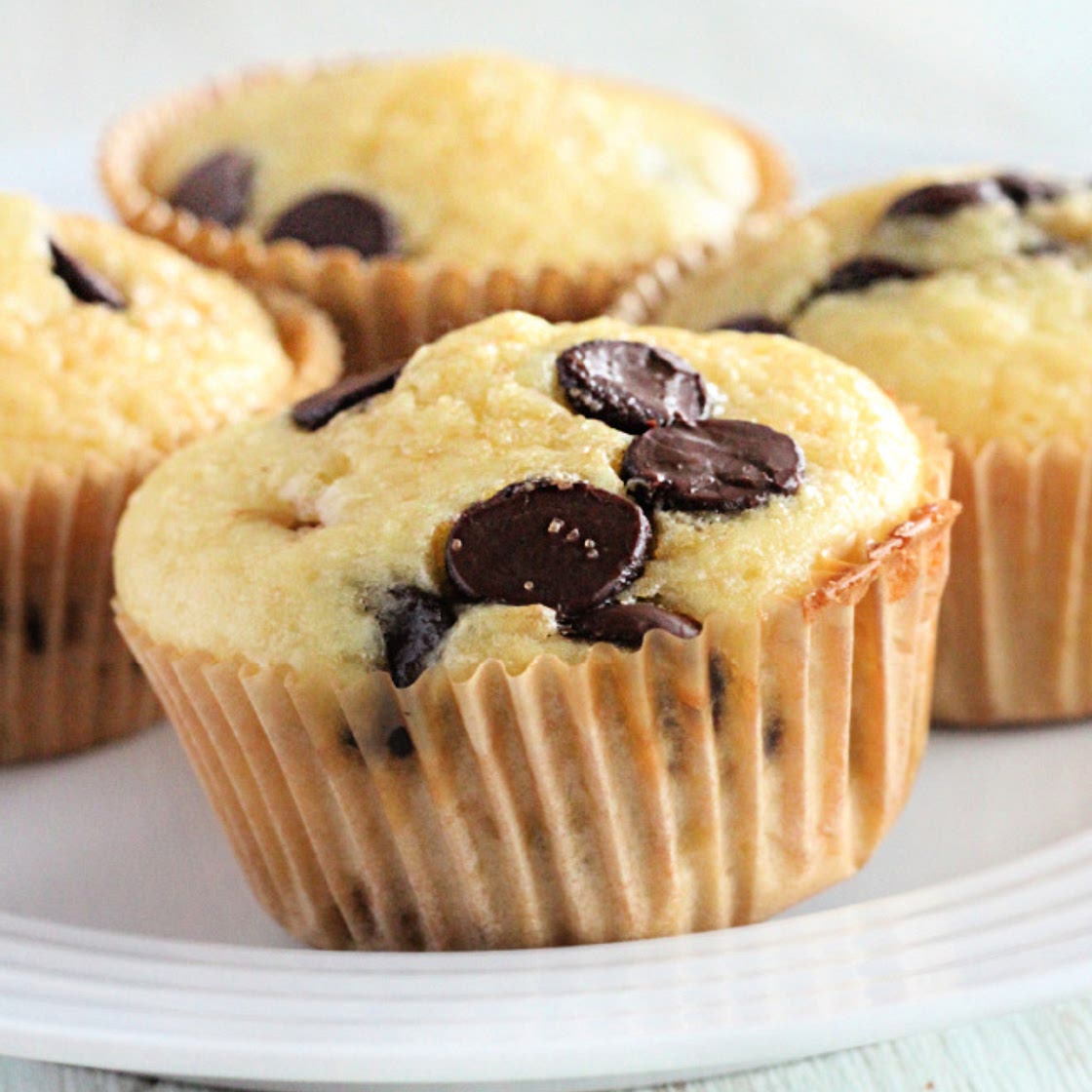 Small Batch Chocolate Chip Muffins