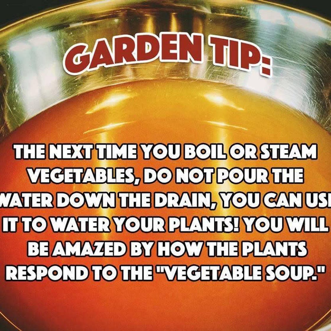 Salmon Coconut Curry with Spinach and Chickpeas