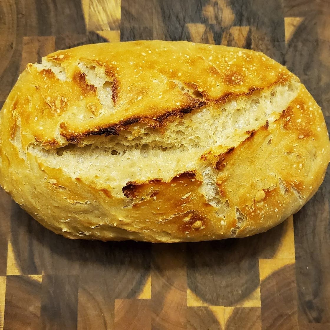 Dutch Oven No Knead Crusty Bread