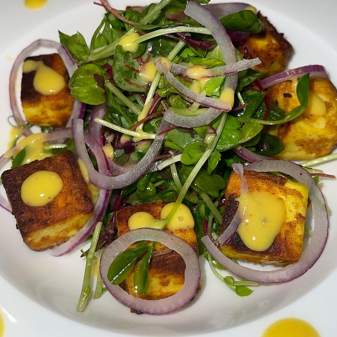 Paneer Salad with Mango & Chilli dressing 