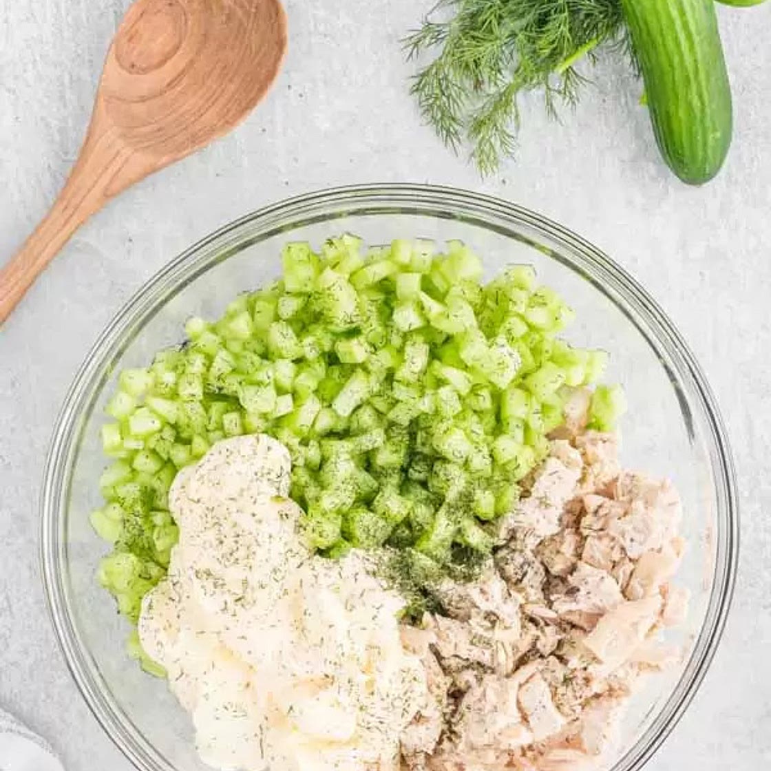 Chicken Cucumber Salad