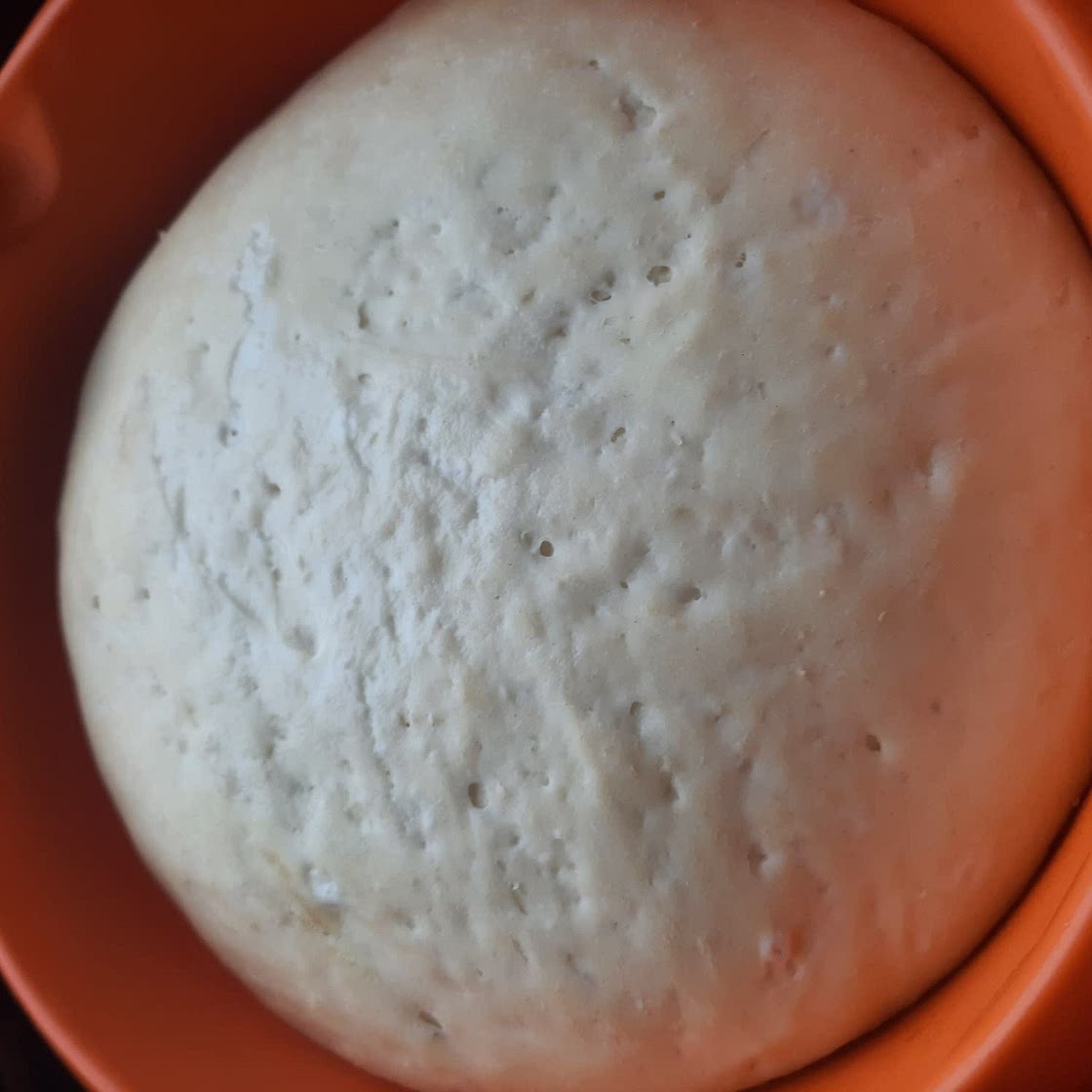 Purfect Pizza Dough