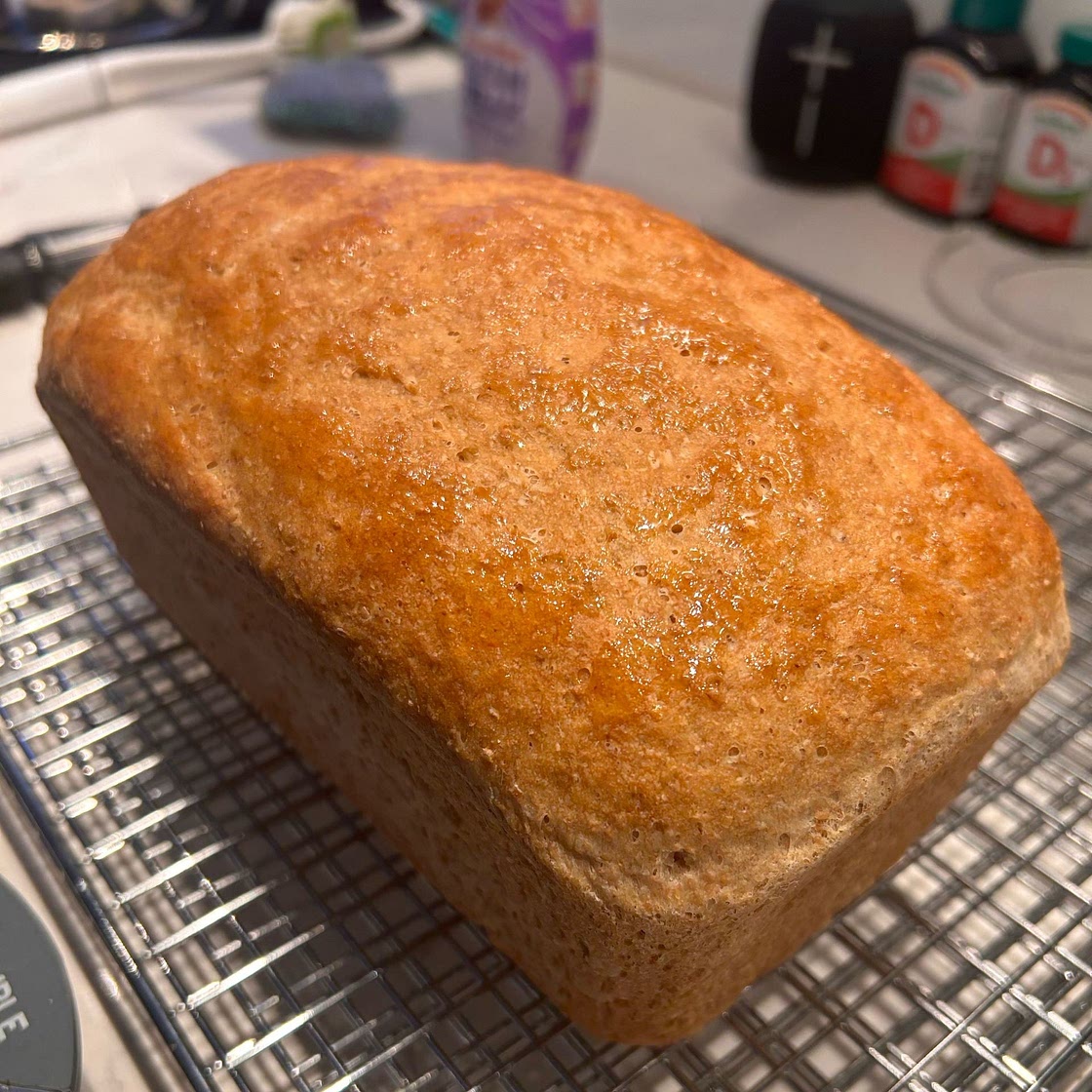 Whole Wheat Bread