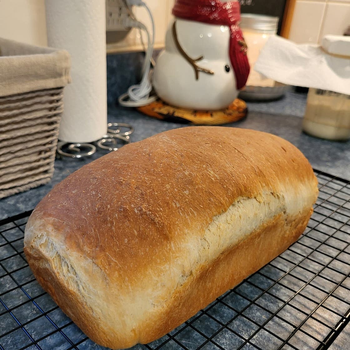 Sourdough Discard Sandwich Loaf Recipe
