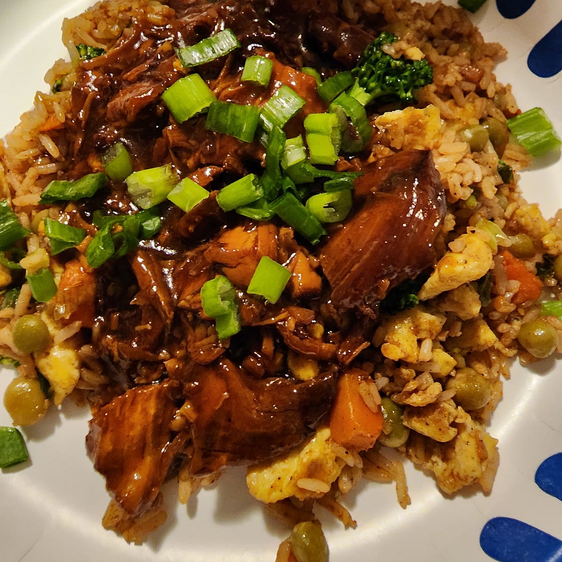 Instant Pot Honey Garlic Chicken