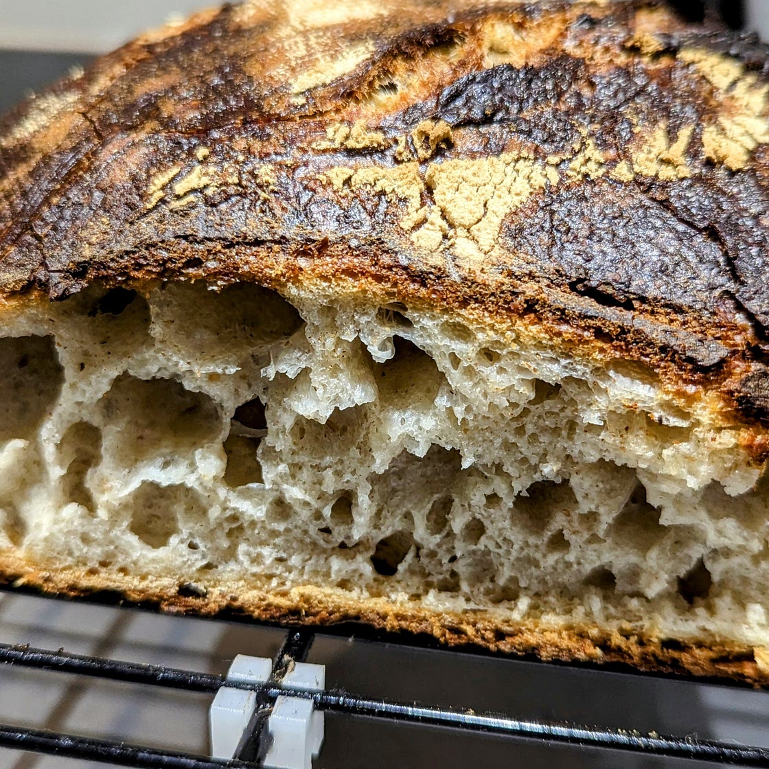 No Knead Sourdough