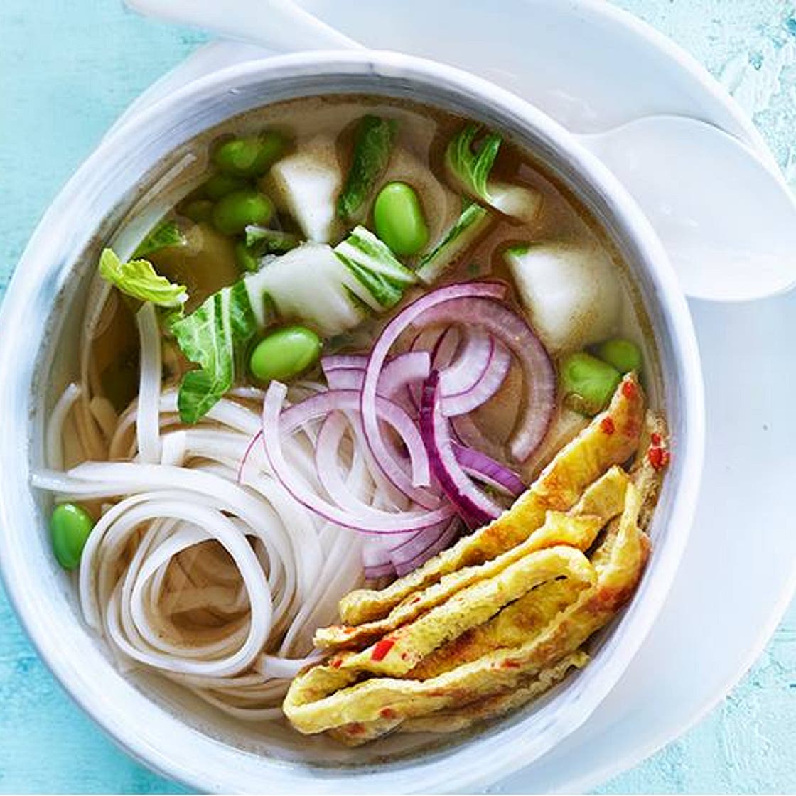 Asian Chicken Noodle Soup