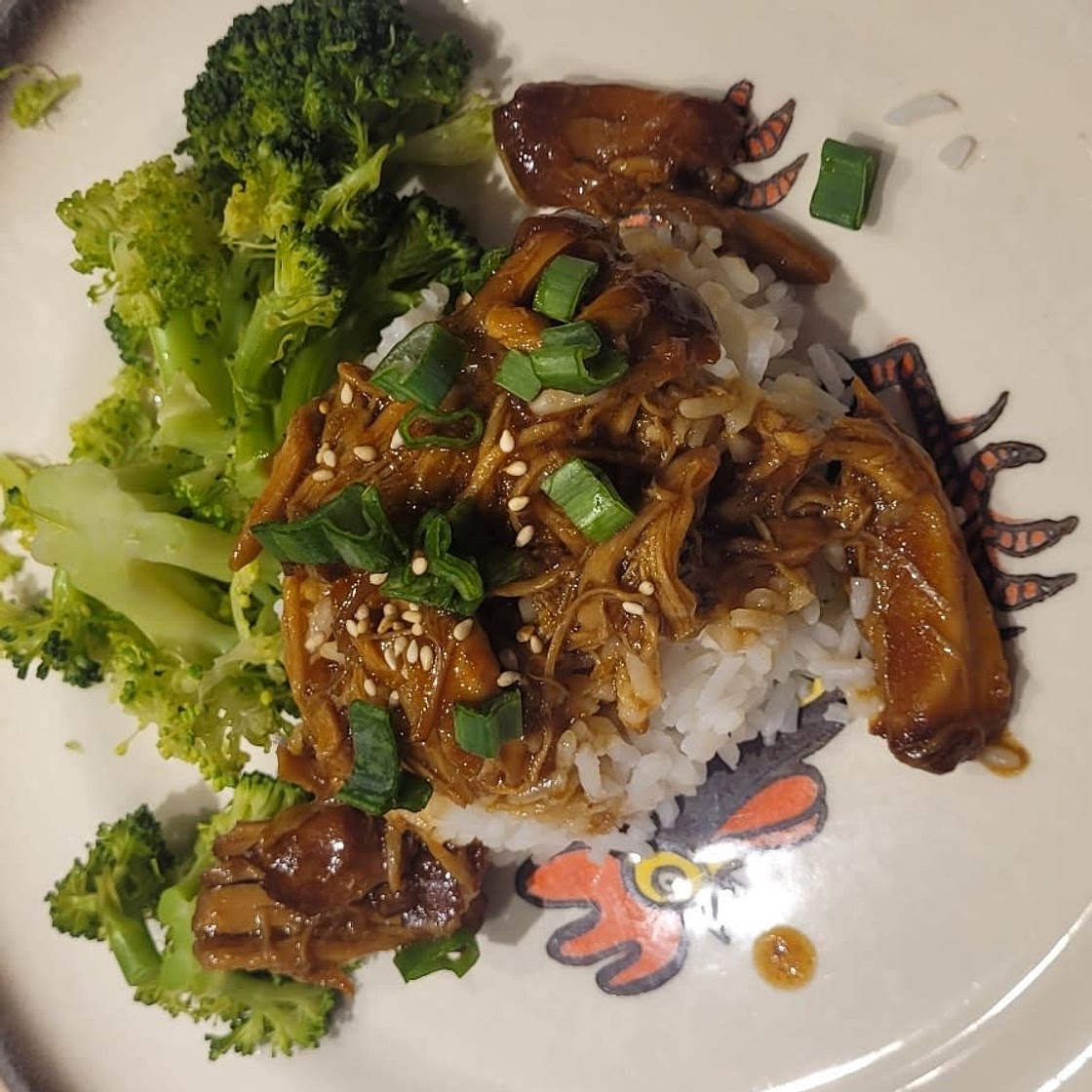 Crock Pot Teriyaki Chicken