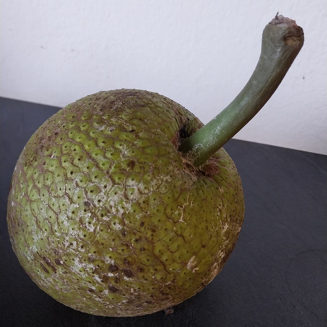 Confiture de fruit à pain