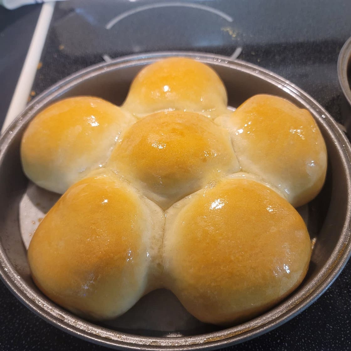 Sourdough Discard Rolls Recipe