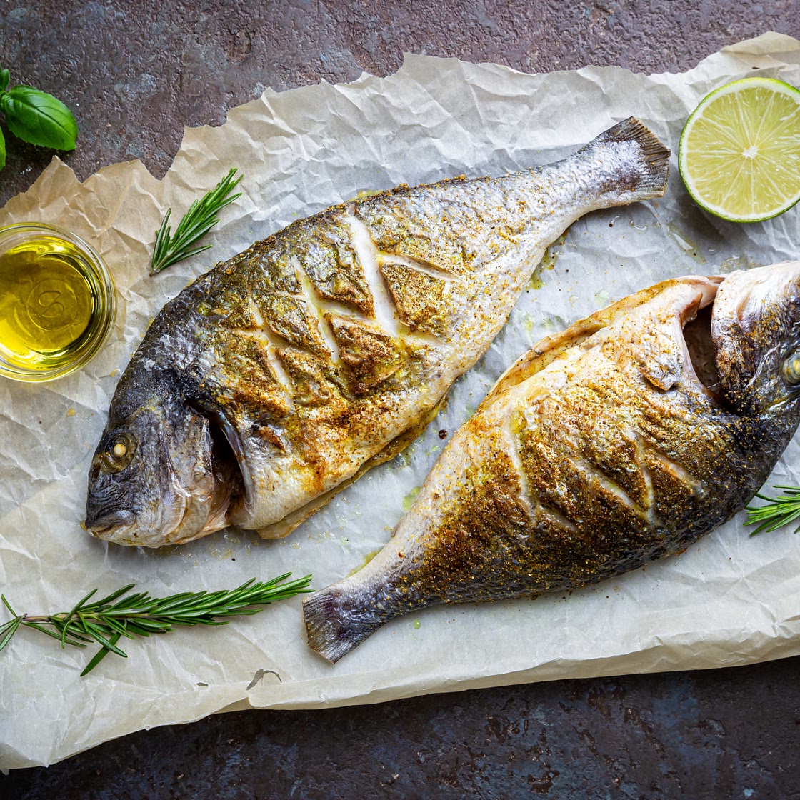 Sea Bream