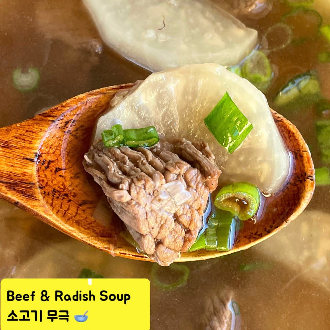 𝗕𝗲𝗲𝗳 𝗮𝗻𝗱 𝗥𝗮𝗱𝗶𝘀𝗵 𝗦𝗼𝘂𝗽 | 소고기 무극 ⁣