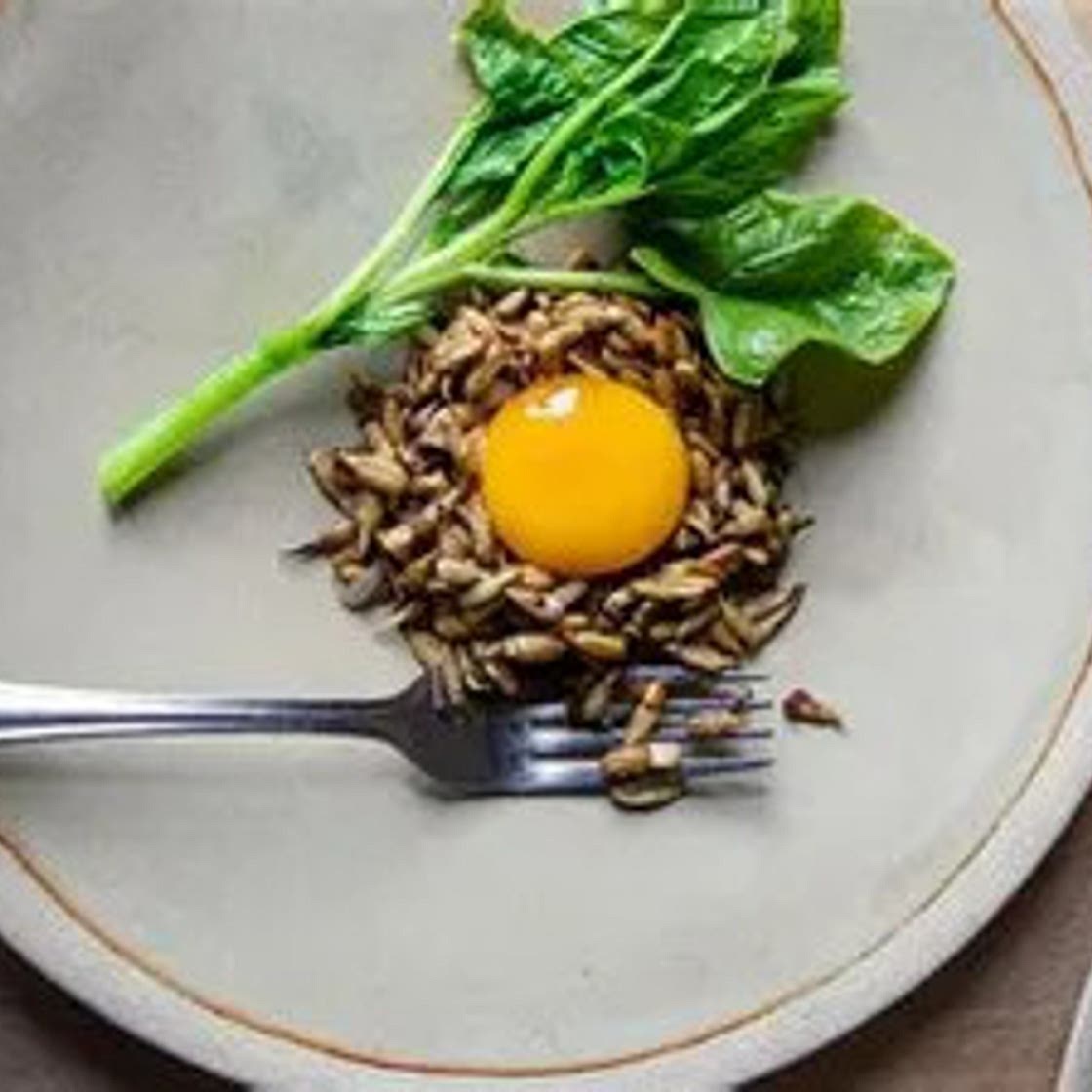 Œufs marinés à la bière et graines de tournesol germées (Florent Ladeyn)