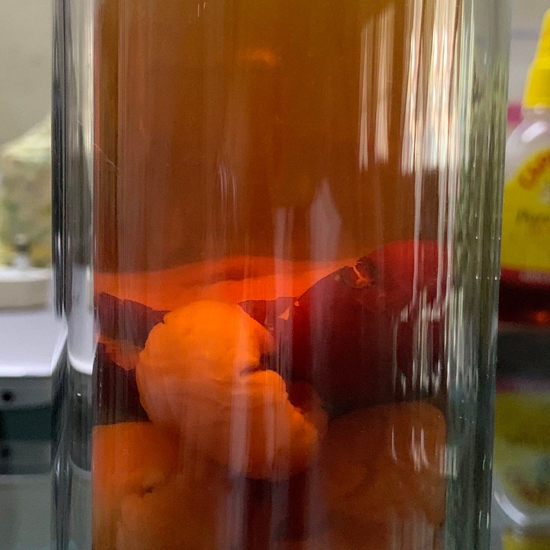 Red Dates and Longan Tea