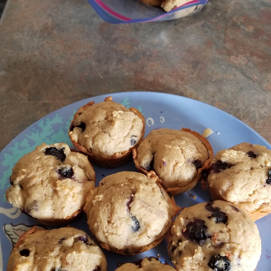 Protein Blueberry Muffins