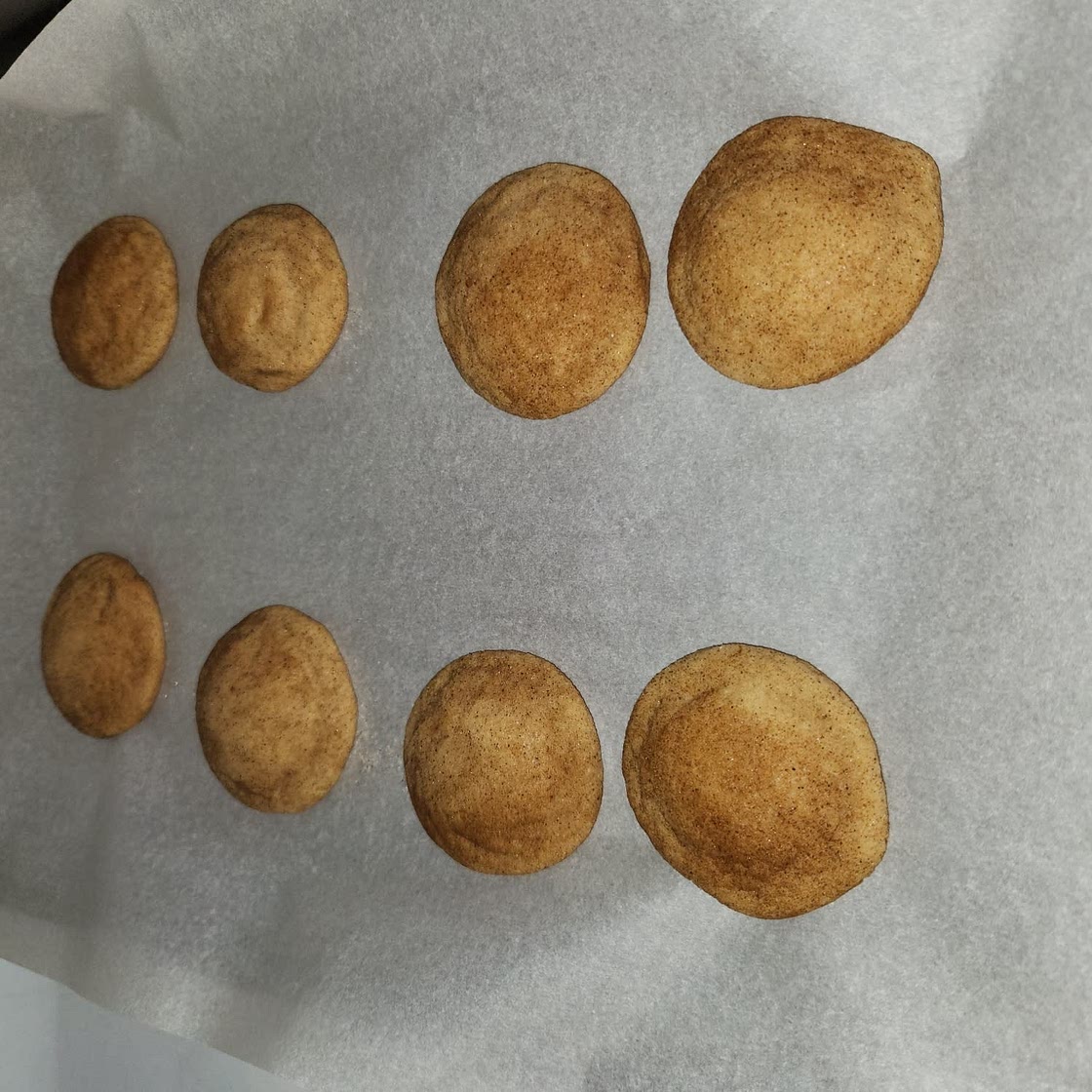 Perfect Snickerdoodles