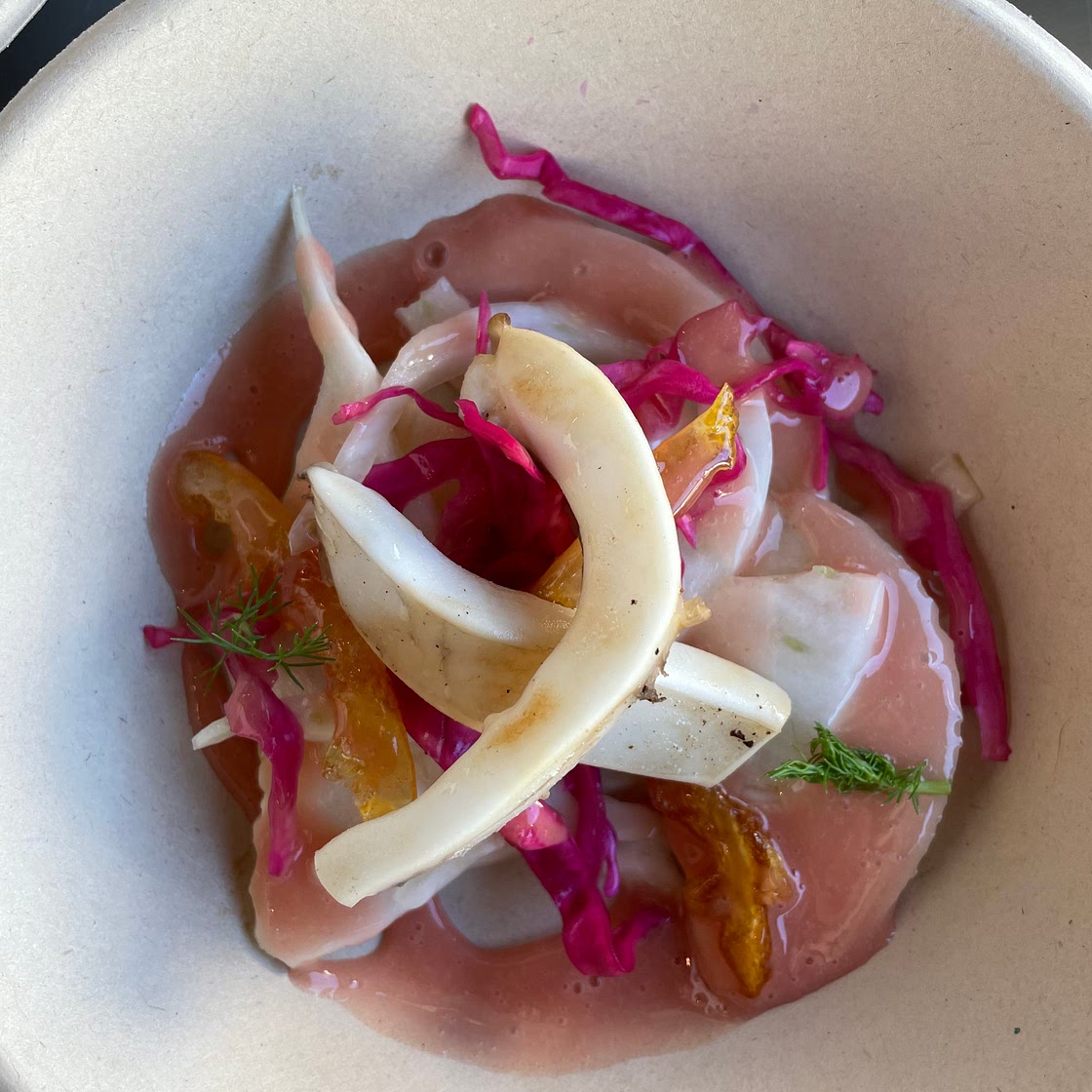 Jewel-toned Shaved Fennel Salad w/ Pickled Cabbage, Candied Lemons & Seared Cuttlefish