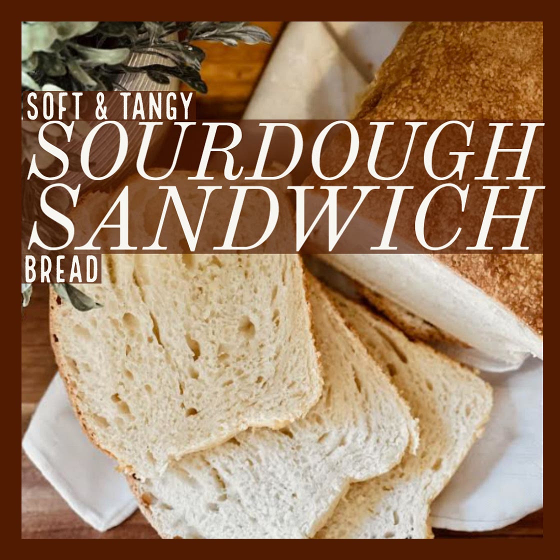 Sourdough Sandwich Bread - A Catholic Convert