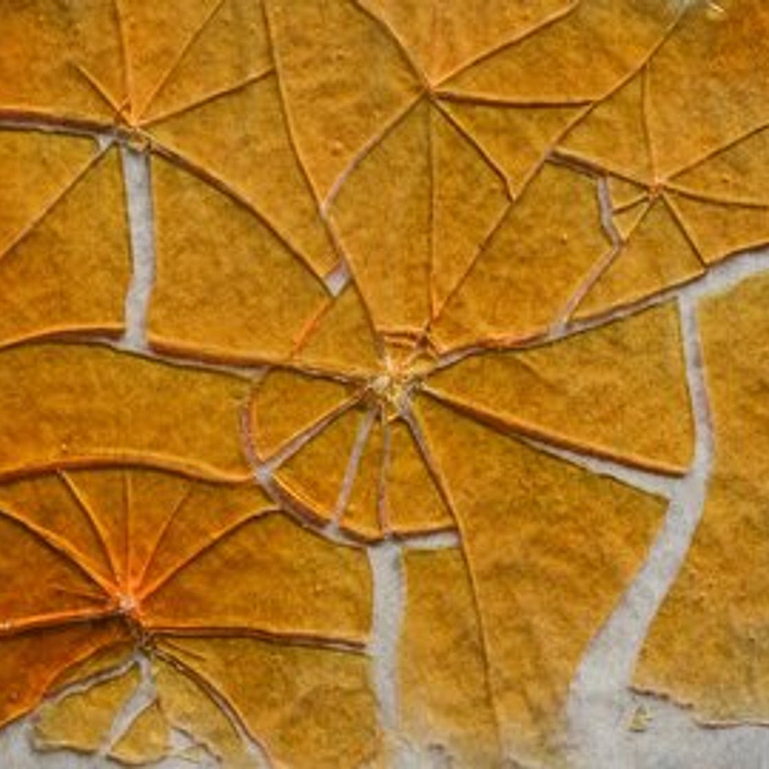 Caramel Shards