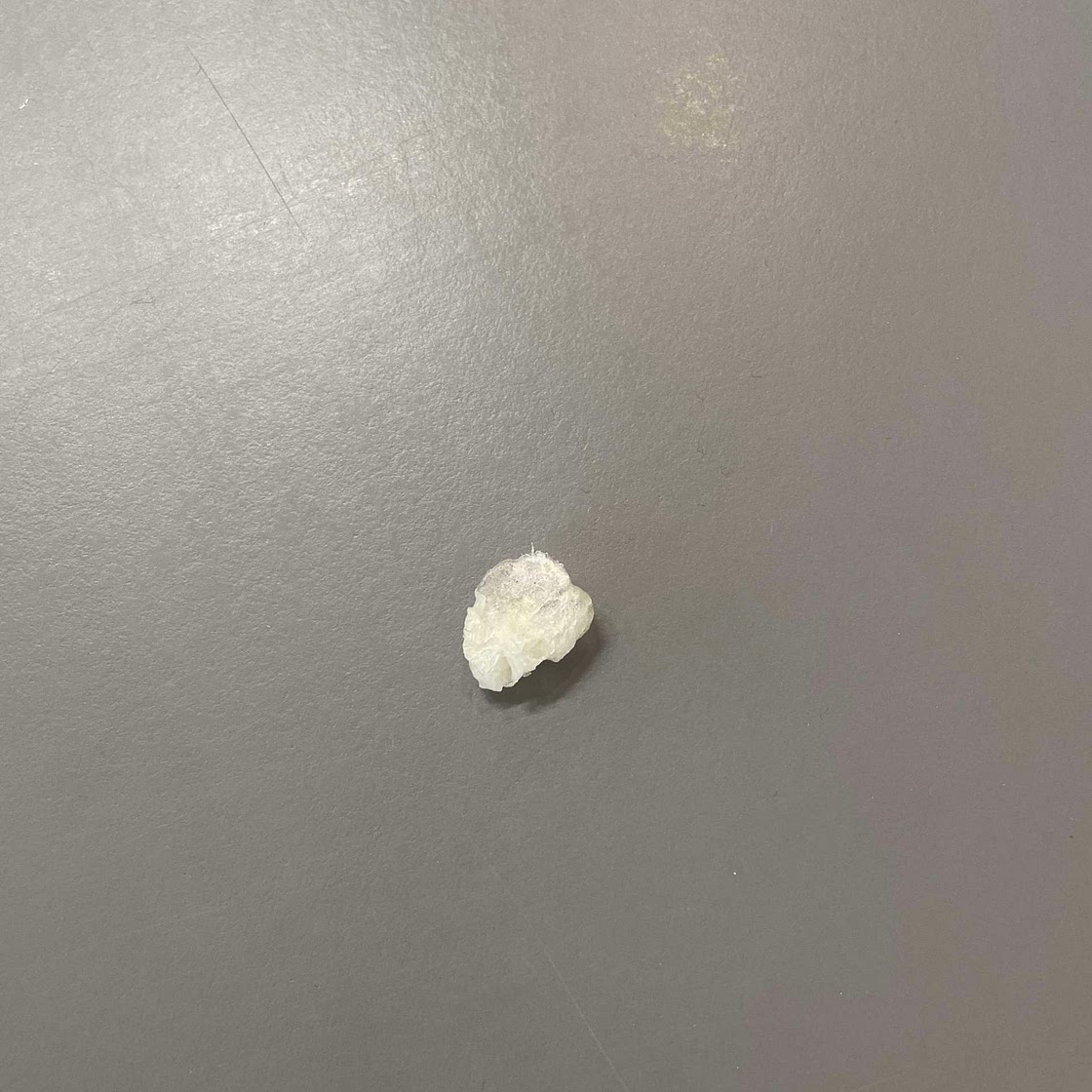 starch plastic / paper