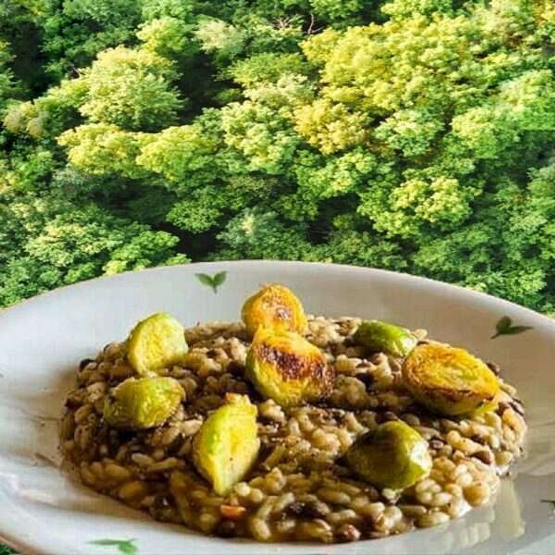 Risotto con lenticchie e cavolini di Bruxelles