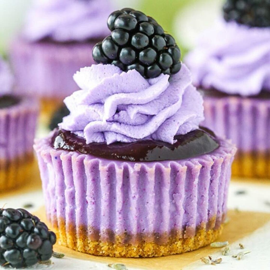Mini Blackberry Lavender Cheesecakes Recipe