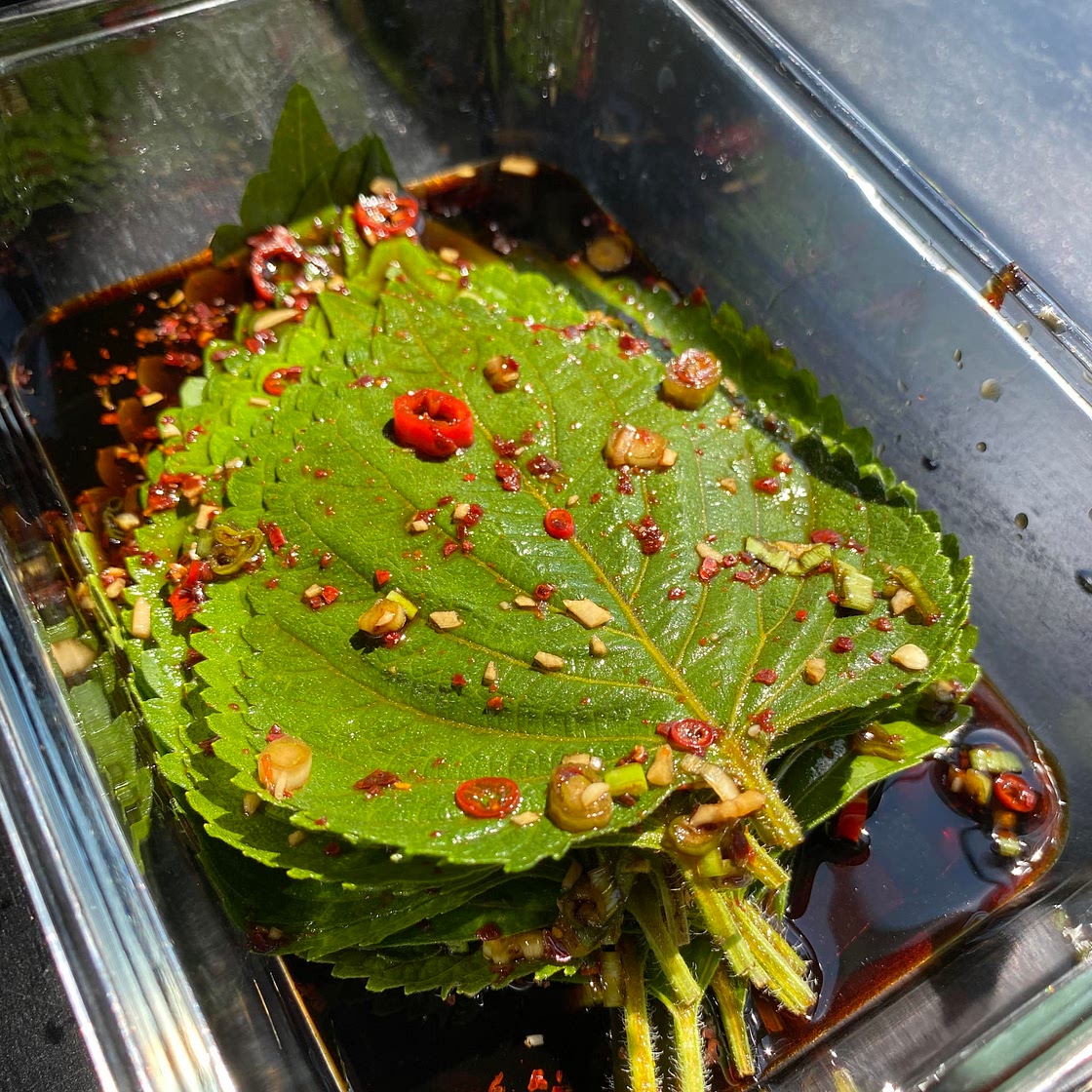 marinated perilla leaves