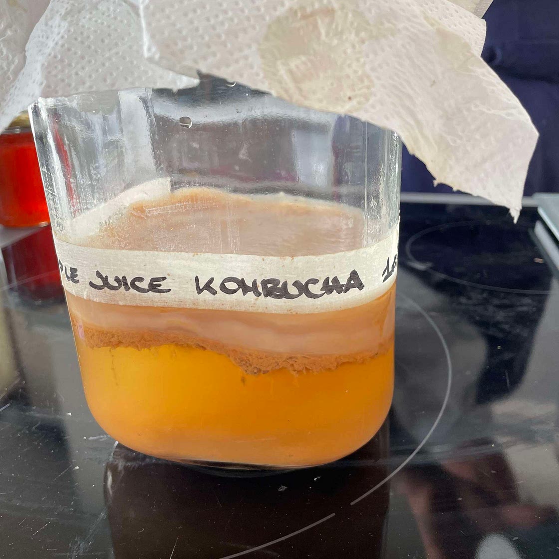 Honey kombucha