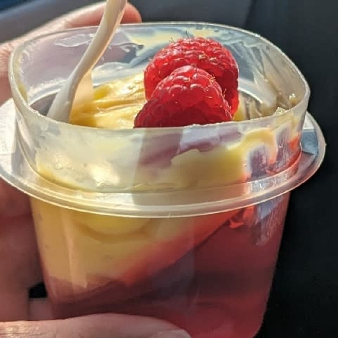 Homemade Vanilla Pudding