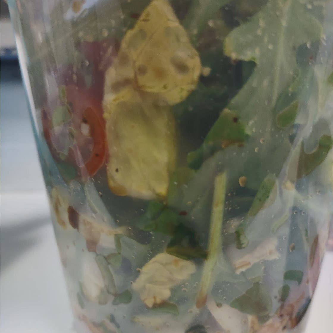 Chicken Avocado Caprese Salad