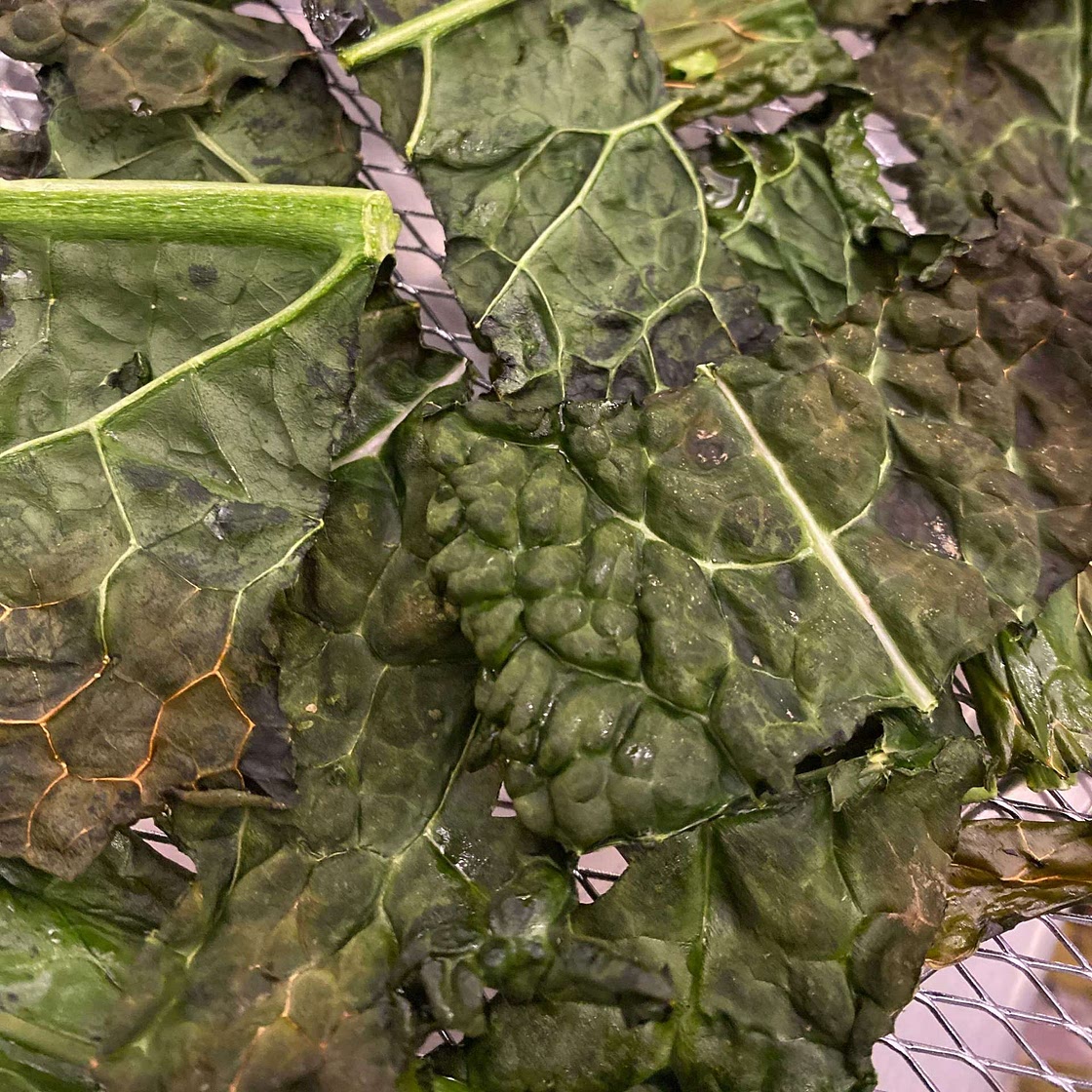 10 Minute Air Fryer Kale Chips