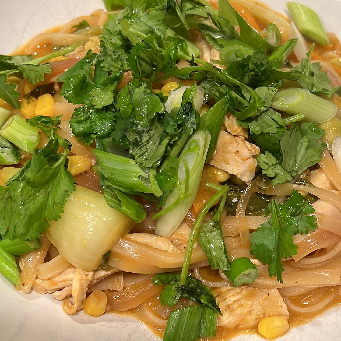 Thai Chicken Noodle Soup (Red Curry)