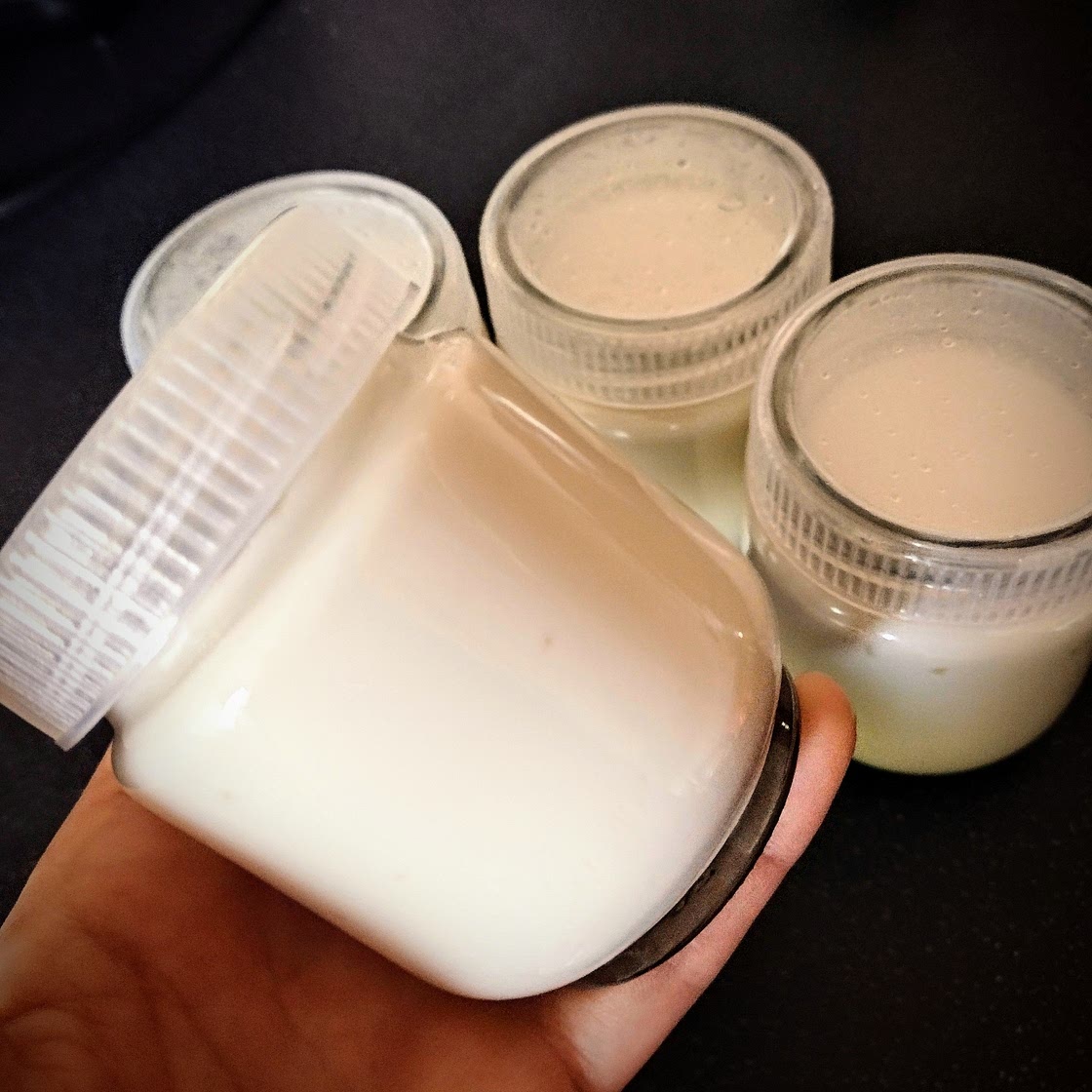 Vegan soy yogurt with yogurt maker