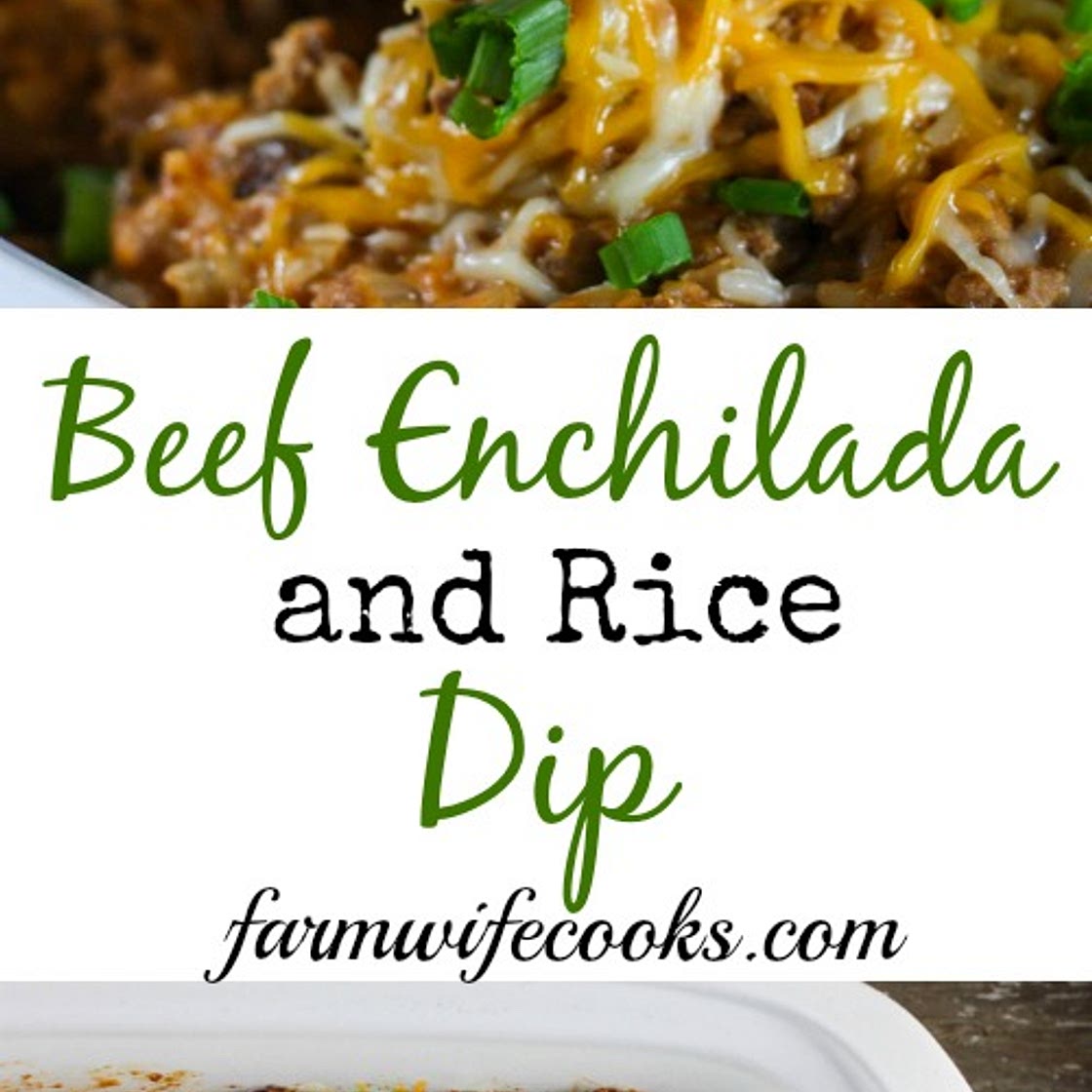 Crock Pot Beef Enchilada and Rice Dip