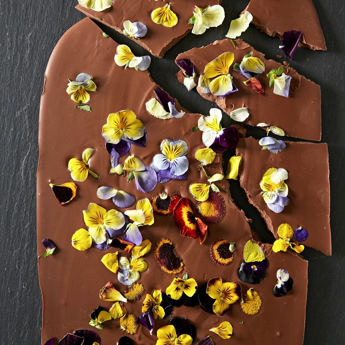 Viola Candy Bark