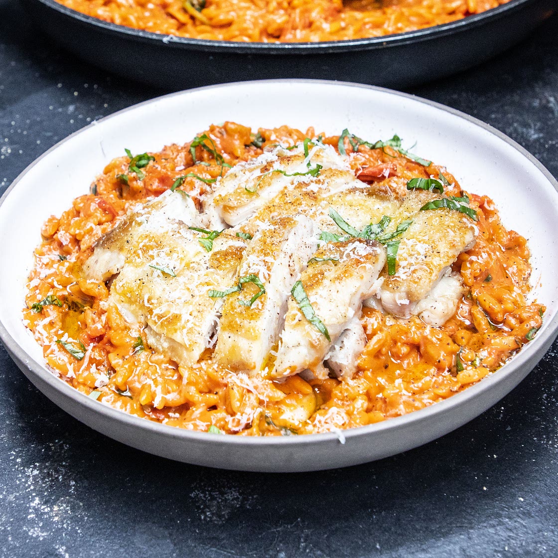 Creamy Chicken and Tomato Orzo